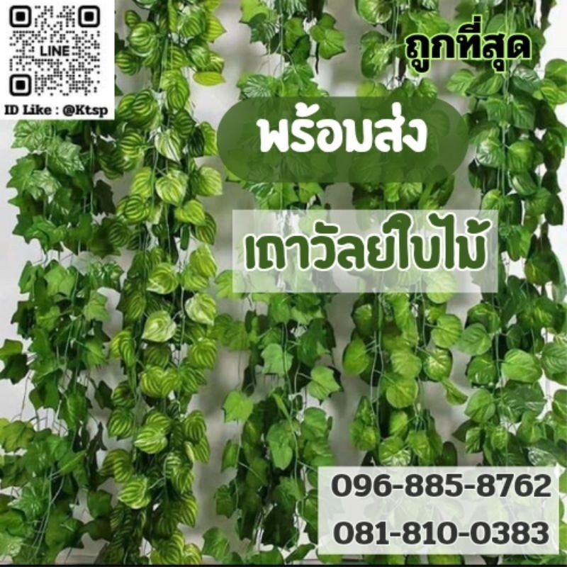 (เหมือนจริง)​ เถาวัลย์​ใบพลูด่าง​ เถาวัลย์​ใบองุ่น​ เถาวัลย์ใบบอลแดง เถาวัลย์ เถาวัลย์ปลอม ใบไม้