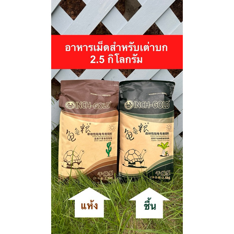 ส่งไว INCH GOLD อาหารเต่าบก 2.5 กิโลกรัม ผลิตปีนี้