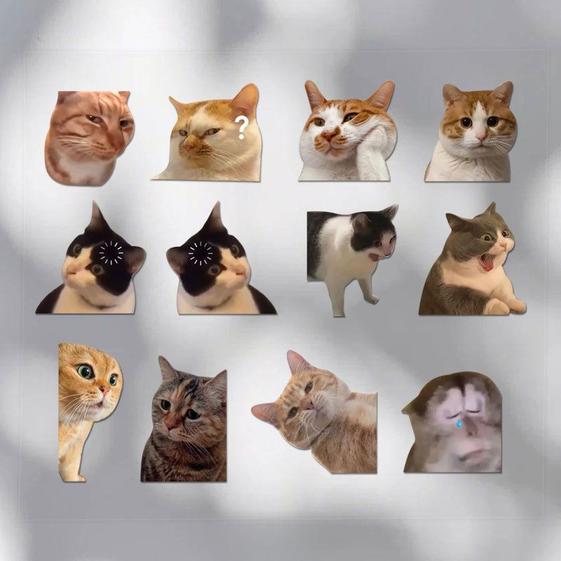 แฟนตลกน่ารักเพราะแมว Meme แมวประหลาดใจสติกเกอร์ติดรถสัตว์เลี้ยงลิงโน๊ตบุ๊คสติกเกอร์กันน้ำอเนกประสงค์