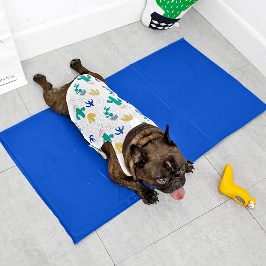Hachishop8888 แผ่นรองเย็นสำหรับสัตว์เลี้ยง ขนาด 50x90x1ซม. รุ่น HY001L สีน้ำเงิน DUDUPETS ขายดีมาก