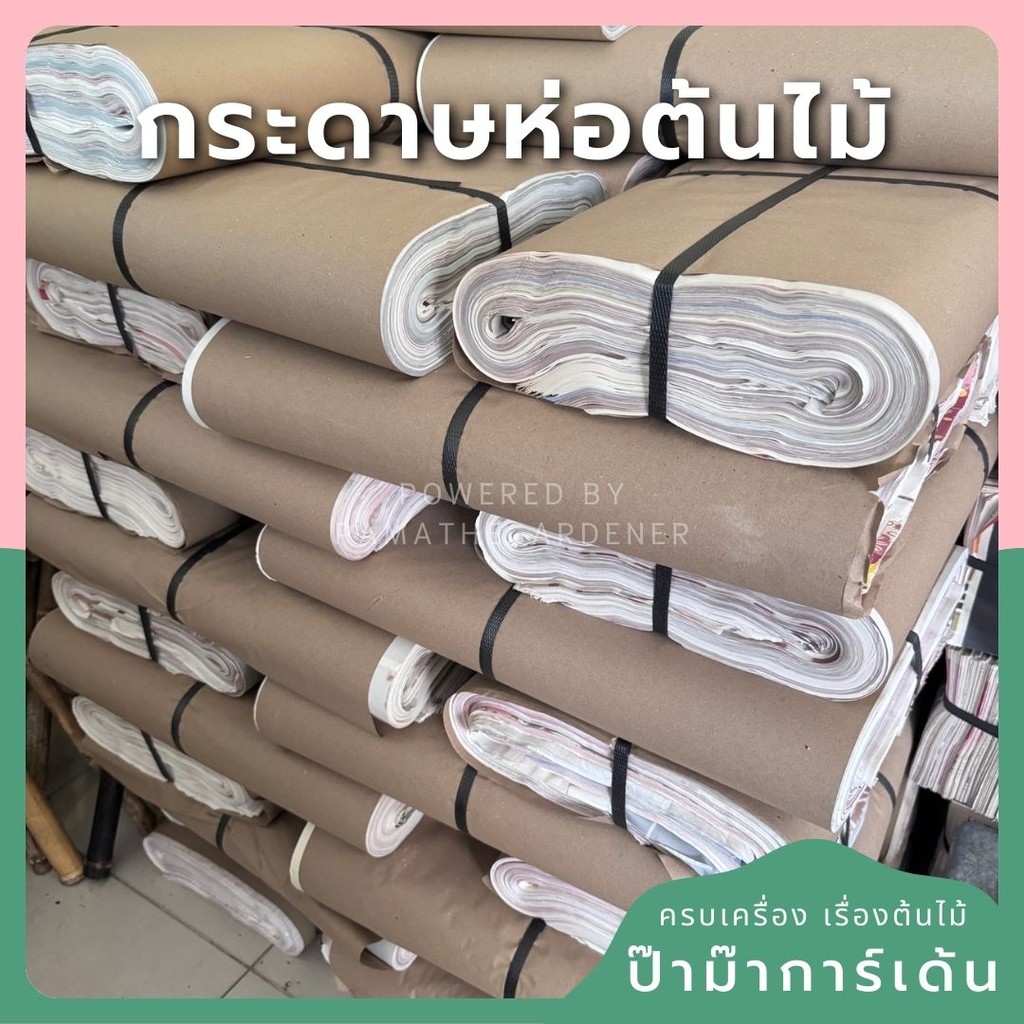 10กิโลกรัม กระดาษMG กระดาษห่อสินค้า กระดาษห่อต้นไม้