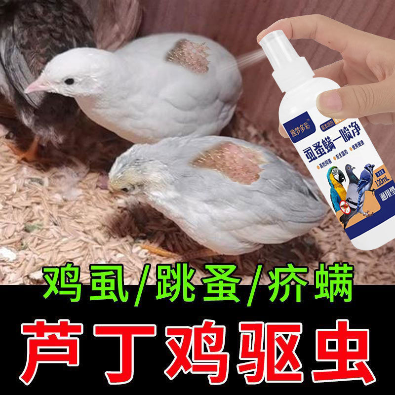 芦丁鸡驱虫喷雾体外驱虫药芦丁鸡窝鸡舍小鸡除虱螨芦丁鸡必备用品Rutin chicken insect repellent spray In vitro insect repellent Rutin c