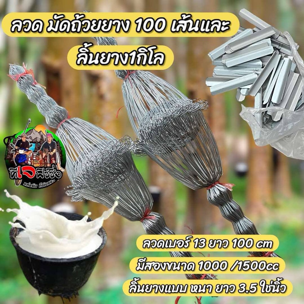 ถูกที่สุด!ลวดรัดต้นยาง หยักฟันปลาเบอร์13มัดละ100เส้น และลิ้นยาง 1 กิโล แบบหนายาส3.5 นิ้ว ลวดมัดถ้ายยาง ยางพารา ถ้วยยาง