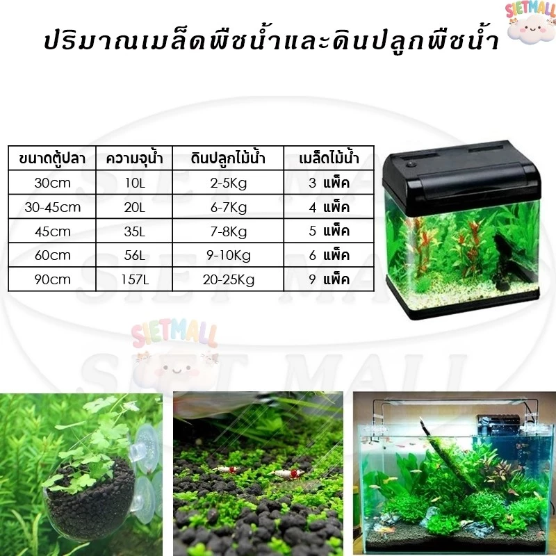 เมล็ดไม้น้ำ ตู้ปลา เมล็ดพันธุ์ไม้น้ำ ปลูกตกแต่งตู้ปลา อ่างบัว บ่อปลา ปลูกในน้ำ มี 6 ชนิด เลี้ยงปลา thumbnail 6