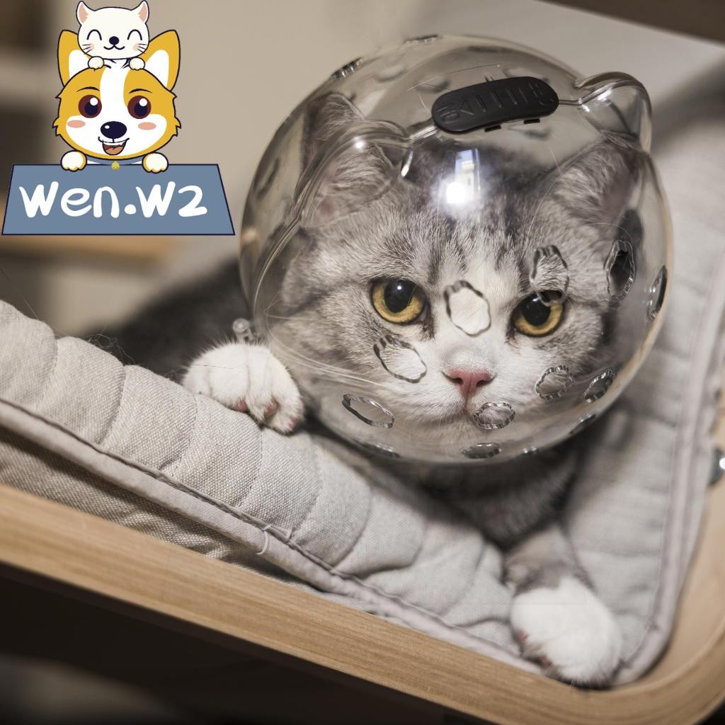 wen.W2 ที่ครอบปากแมวกันกัด หน้ากากหมวกกันกัด ที่ครอบหน้าแมว ระบายอากาศได้ดี