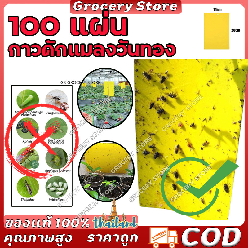 100แผ่นทองดักแมลงวันกาวสีเหลืองดักแมลงกาวแผ่น 2 ด้านกาวเหนียวเหนียวเหนียวทนแดดติดด้วยตนเอง