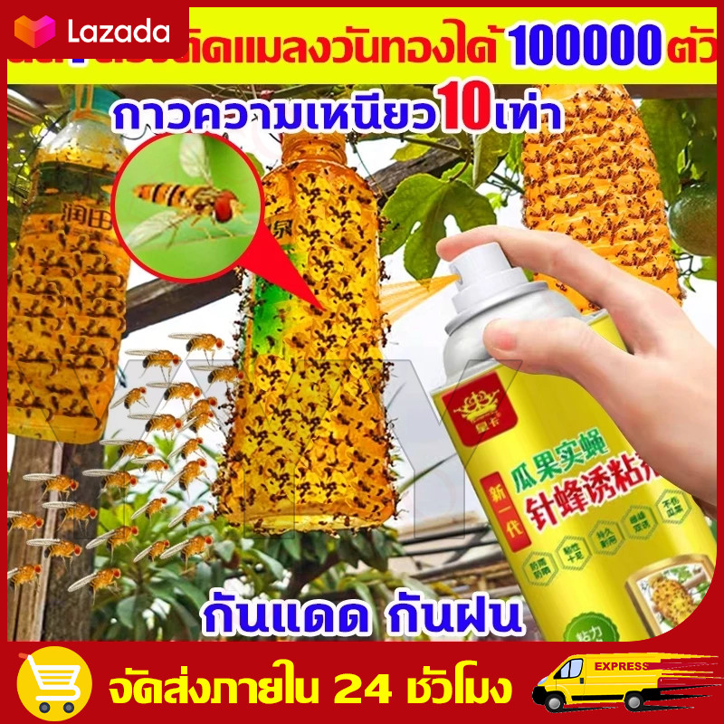 ยาไล่แมลงทองคํา 450มล. (methyl EUGENOL) 450มล. ยาไล่แมลงทองคํา (methyl EUGENOL) นําเสนอตัวเลือก 1 3 