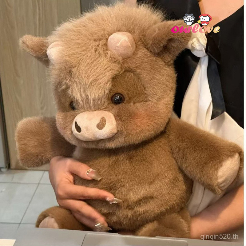สนุกสก็อตไฮแลนด์ นิว นิว ตุ๊กตาน่ารักตลกลูกลูกวัว นิว หมอนสาวนอนตุ๊กตาสร้างสรรค์วิ่งไฮแลนด์ลูกวัวหมอนเด็กปลอบโยนตุ๊กตา