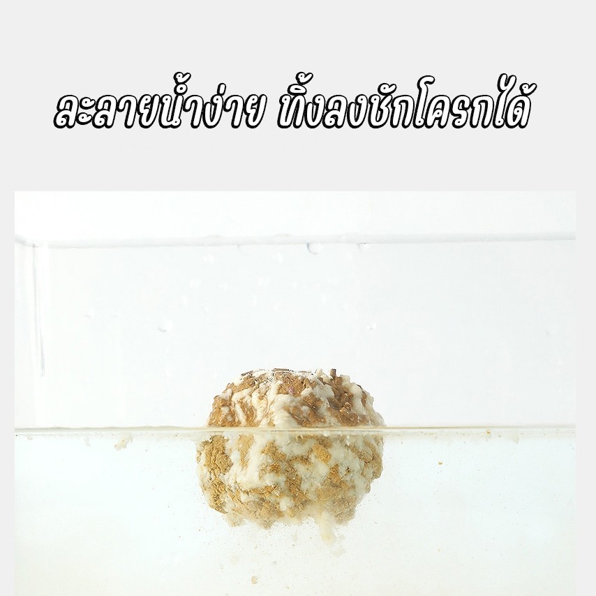 รูปภาพ 5