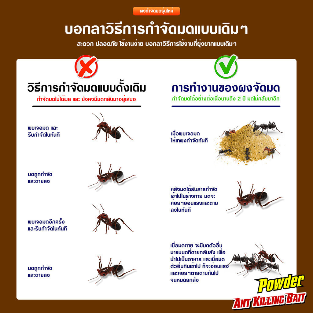 กำจัดมด ยาฆ่ามด ฆ่าตายยกลัง ฆ่ามดได้ทุกสายพันธุ์ ปลอดภัยต่อคน เหยื่อมด เหยื่อกำจัดมด ไล่มด ฆ่ามด กำจัดแมลง Ant Bait - รูปที่ 2