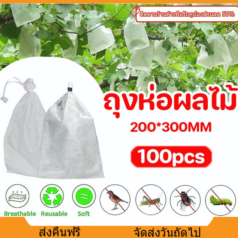 ถุงห่อฝรั่ง 100ชิ้น ขนาด 20x30 ซม(หนา 30)ถุงห่อ ห่อผลไม้กันแมลง องุ่น มะม่วงส้มโอ และอื่นๆ ใช้ซ้ำได้
