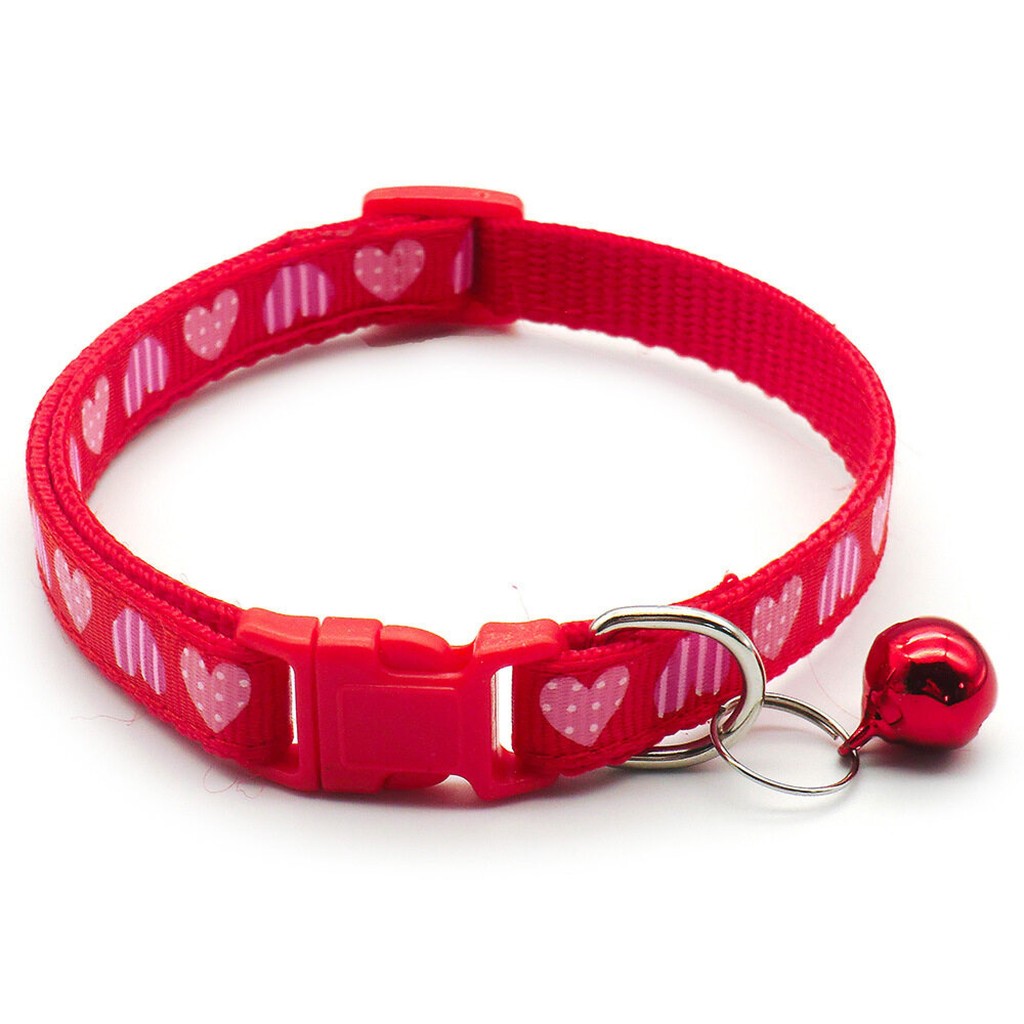 Pet Pet Pet Accessories Pet Products Food Toys Health LI0351 Shop calibri 11 th