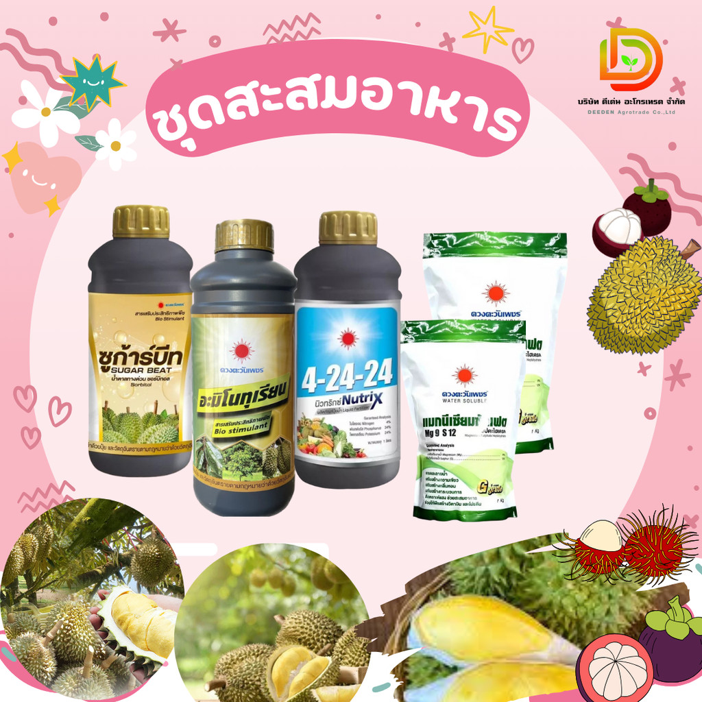 #ชุดสะสมอาหาร ก่อนการออกดอก ใบเพสลาด ( อะมิโนทุเรียน+ซูก้าร์บีท+4-24-24+แมกนีเซียมซัลเฟต2kg ) #ดวงตะ