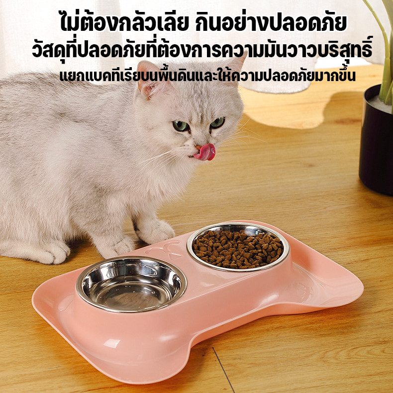 ชามอาหารแมว ชาม2หลุม ชามสัตว์เลี้ยง ชามอาหารกันมด ถอดออกได้ สแตนเลส หมา แมว ราคา ถูกที่สุด ดีลบีเคเค แกลเลอรีภาพที่ 7