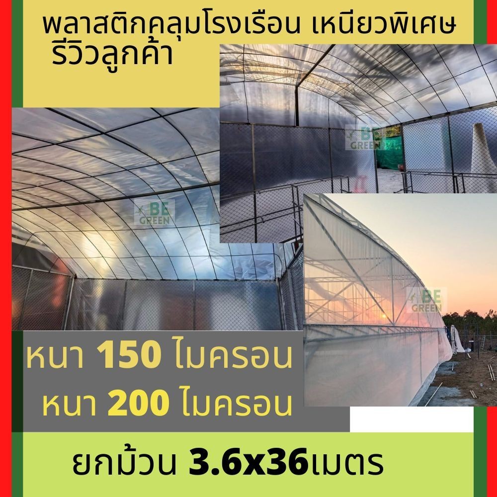 พลาสติกใส พลาสติกโรงเรือน ยกม้วน36เมตร 🚩120-200ไมครอน พลาสติกคลุมโรงเรือน คลุมแปลงผัก กันน้ำ กันฝน โ