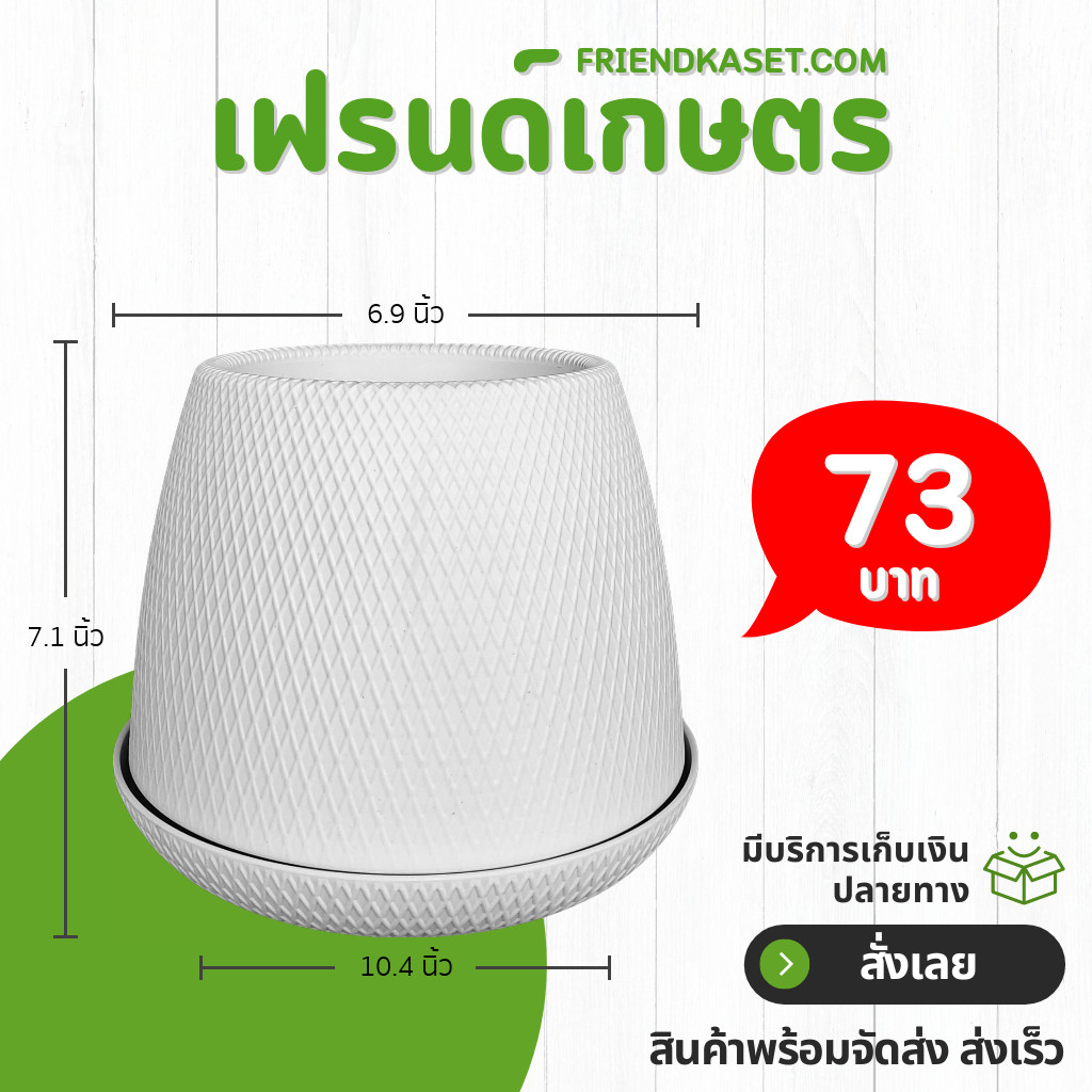 กระถาง กระถางต้นไม้ มินิมอล นางฟ้า ขนาด 10 นิ้ว สีดำ สีขาว สีเทา สีอิฐ Bundle 3 ใบ ชิ้น อัน