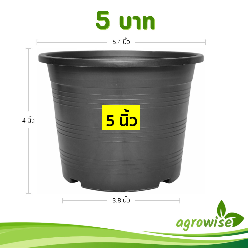 กระถาง กระถางต้นไม้ กระถางพลาสติก เบอร์ 5 5.4 นิ้ว สีดำ Bundle 50 ใบ ชิ้น อัน