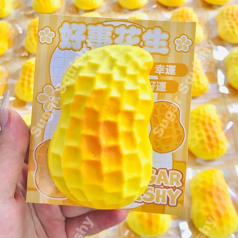 สกุชชี่น้ําตาล กู๊ดนิว ถั่วลิสง สกุชชี่ที่เพิ่มขึ้นช้า