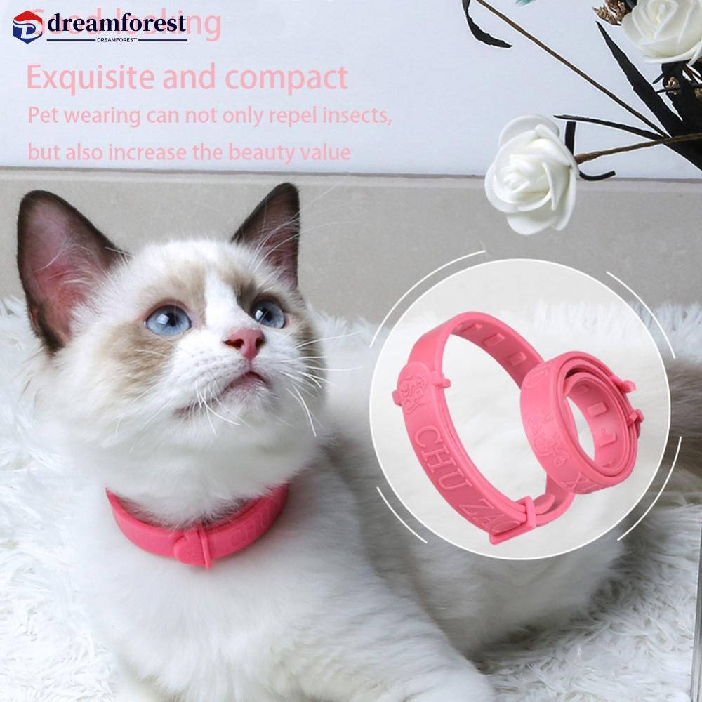 DFS Cat Anti Flea Mite Tick Collar ไม่มีหมัดกรูมมิ่งเครื่องมือลูกแมว Remedy สายคล้องคอปลอกคอสัตว์เลี