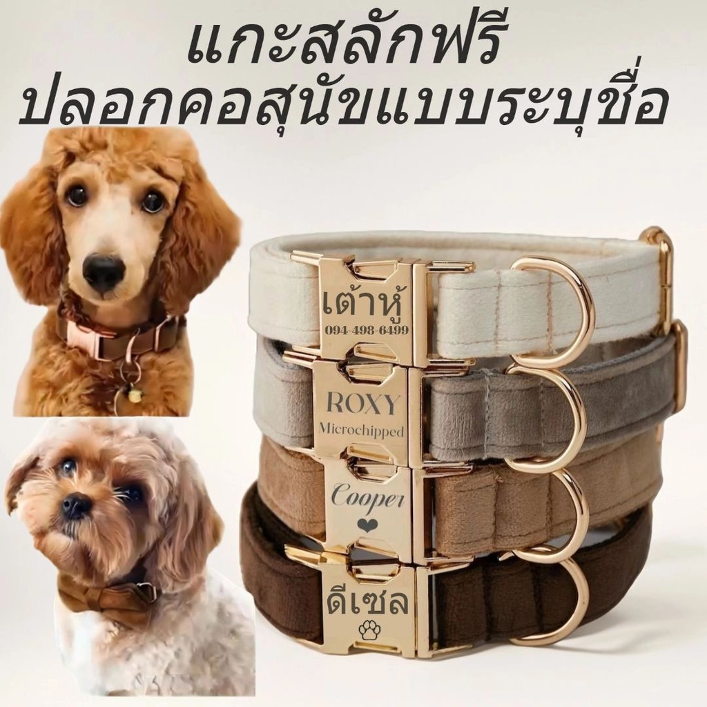 กํามะหยี่ส่วนบุคคลปลอกคอสุนัขหลายสีปลอกคอสุนัขแกะสลักสัตว์เลี้ยงชื่อแผ่นฟรีแกะสลักปลอกคอสุนัขกับชื่อแต่งงานลูกสุนัขของขวัญฟรีแท็กสัตว์เลี้