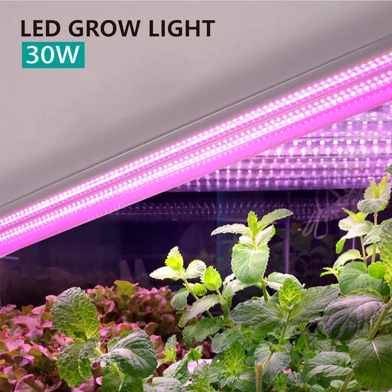 ไฟ LED Grow ไฟโคมไฟปลูกแบบบูรณาการแบบเต็มสเปกตรัม 20W 1.64ft thumbnail 7
