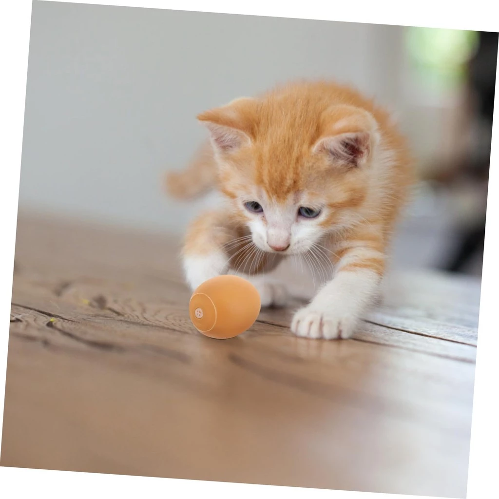 ของเล่นสุนัข รูปไข่ thumbnail 7