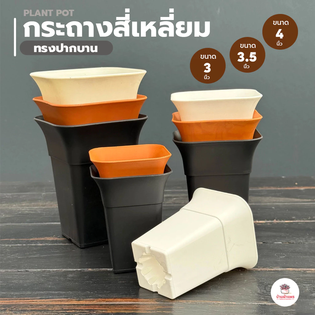 กระถางสี่เหลี่ยมปากบาน กระถางพลาสติก แคคตัส กระบองเพชร ไม้อวบน้ำ Cactus&Succulent