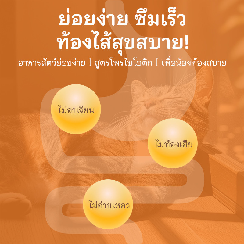 เปียกแมว อาหารเปียก อาหารแมว แมวเปียก  80ก.โภชนาการที่สมดุล มีทอรีน (ผู้พิทักษ์ชีวิตของแมว) - 2