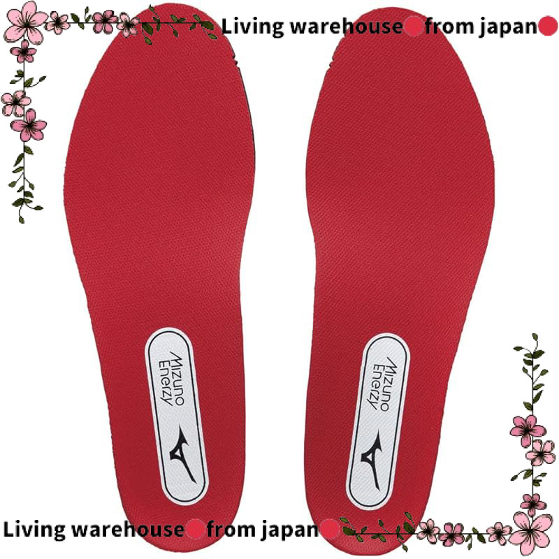 Japan Official
MIZUNO Baseball Mizuno Energy Insole 11GZ2220