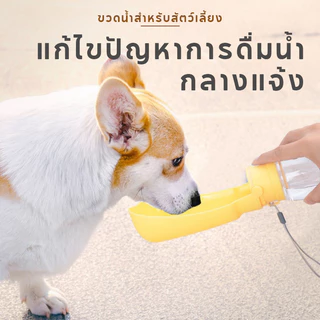 กระบอกน้ำพกพา ขวดน้ำสัตว์เลี้ยง พื้นที่ดื่มกว้าง ป้องกันการรั่วซึม พับได้พร กระบอกน้ำสุนัข