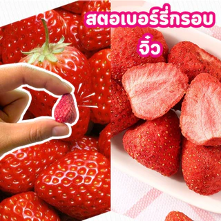 PW สตอจิ๋ว ✅ 3 ถุง!! ⚡ สตอเบอร์รี่ฟรีซดราย สตอกรอบ อร่อย กรอบ เกรดAAA Strawberry Freeze-dried ใหม่ ไม่ค้าง ขนม พร้อมส่ง