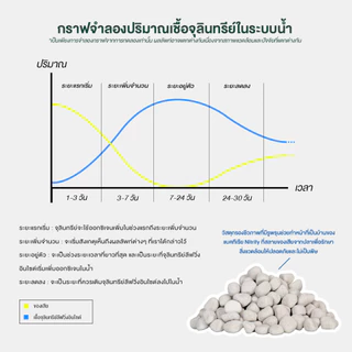 จุลินทรีย์ แบคทีเรีย บ่อปลา ตู้ปลา น้ำใส ลดตะไคร่ ย่อยของเสีย ลดกลิ่น Living Inside