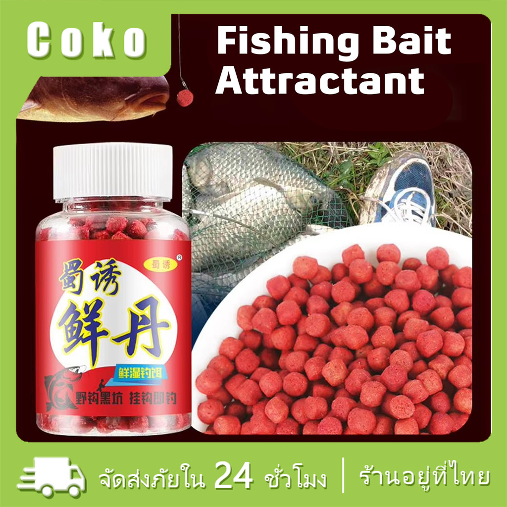 250เม็ด หัวเชื้อตกปลา เหยื่อตกปลาโปรตีน รสชาติเข้มข้น ล่อปลาได้ดี