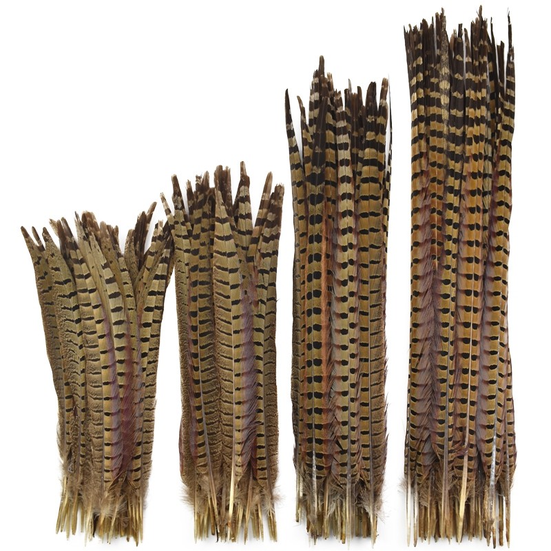 10 ชิ้น/ล็อตธรรมชาติ Ringneck koasant Feathers สําหรับงานฝีมือ 10-75 ซม. Plumes Feather DIY หมวกงานแต่งงาน Dream Catcher Carnival อุปกรณ์เสริมตกแต่ง
