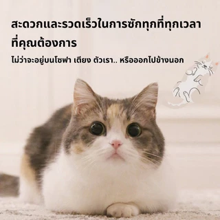 ถุงมืออาบน้ำแมว ถุงมืออาบน้ำสุนัข ถุงมือเช็ดตั ใช้งานง่าย ไม่ระคายเคืองผิว 6pcs