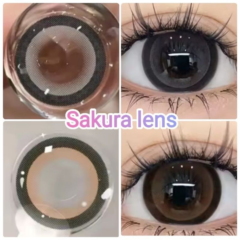 คอนแทคเลนส์ รุ่น Sakura/Edge สีเทา/ตาล Gray/Brown มีค่าสายตา (0.00)-(-10.00)