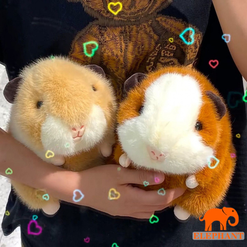 ตุ๊กตาน่ารัก, ตุ๊กตาหนูตะเภา, ตุ๊กตาผ้า, ตุ๊กตายัดนุ่นหมูดัตช์, ตุ๊กตาเด็ก, ของขวัญวันเกิดหนูตะเภา, ผู้หญิง