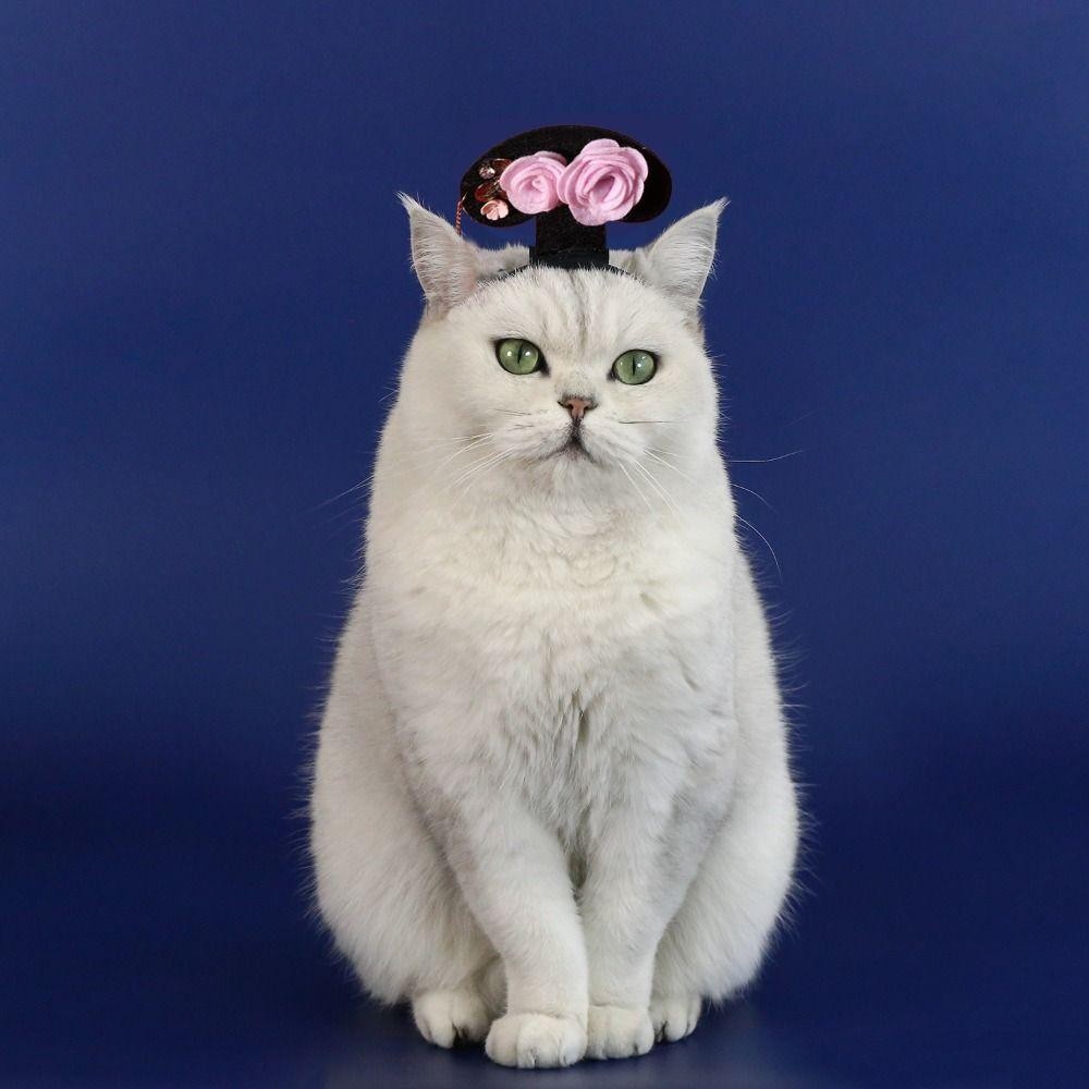 Wellnessspot ที่คาดผมปีใหม่สัตว์เลี้ยง, ผ้าโพกศีรษะแมวแบบดั้งเดิมสไตล์จีน, น่ารัก Hanfu Vintage Court Princess Dog Hanfu ที่คาดผมสุนัข/แมว - รูปที่ 6