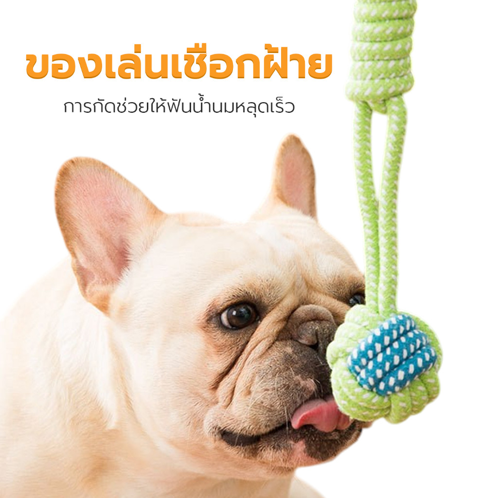 ของเล่นสุนัข ของเล่นตุ๊กตาสุนัข ของเล่นสัตว์์เลี้ยง Dog Toy ทนต่อการกัด  ทำให้ผ่อนคลาย Petus pet ราคา ถูกที่สุด ดีลบีเคเค แกลเลอรีภาพที่ 4