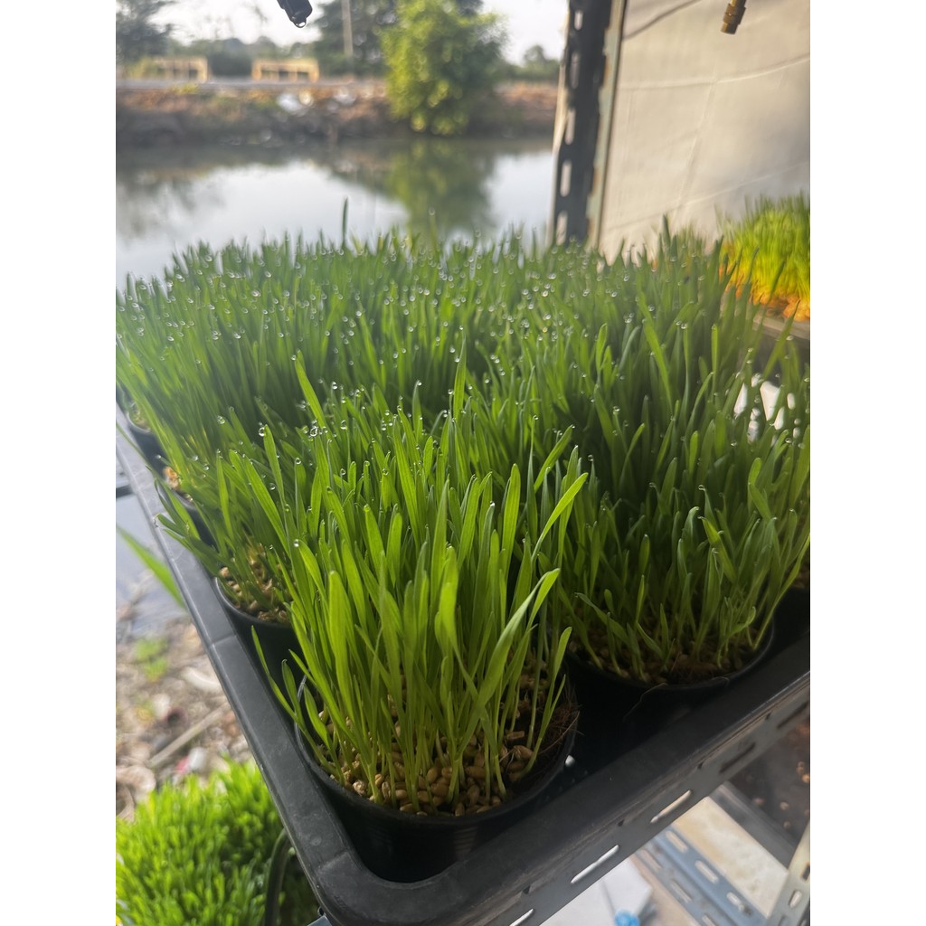 มุมมอง 3