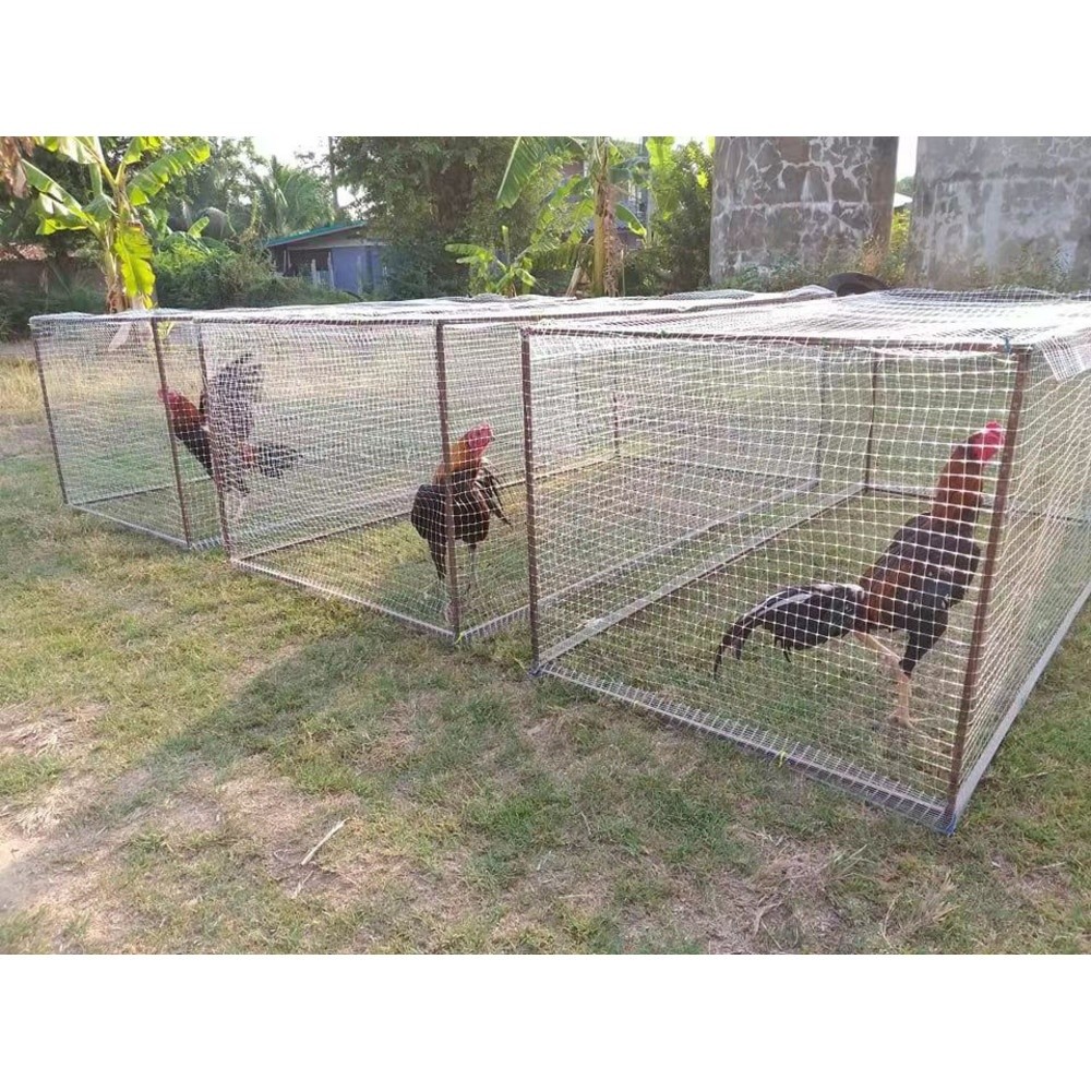 GlobalHouse POLLO ตาข่ายพลาสติก 2x30M. สีขาว สินค้าของแท้คุณภาพดี - รูปที่ 3