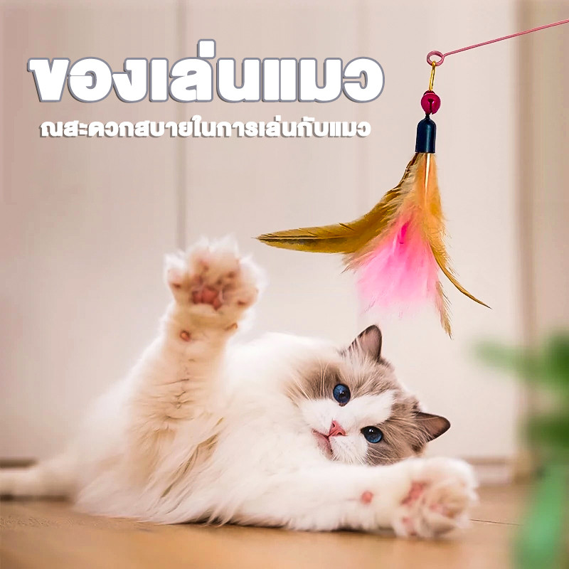 ของเล่นแมว ไม้ตกแมว ไม้ตกแมวแบบสปริง ยาวสุด ณสะดวกสบายในการเล่นกับแมว ราคาขายส่งที่มีคุณภาพดี