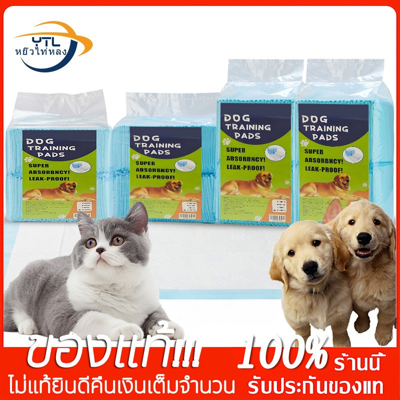 YTL【พร้อมส่ง】 แผ่นรองฉี่สุนัข ซึมซับไดีดี ต่อต้านแบคทีเรีย แผ่นรองฉี่ ผ้ารองฉี่สุนัข แผ่นรองฉี่แมว แผ่นรองซับ ทรายแมวCOD