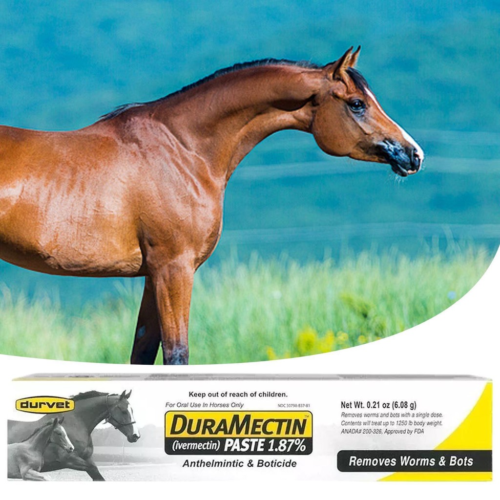 ม้า Dewormer Horse Care Dewormers พืช Equine ครีมธรรมชาติ Coat Conditioners เจลปลอดภัยที่มีประสิทธิภาพควบคุมสําหรับ Bots xeeahth