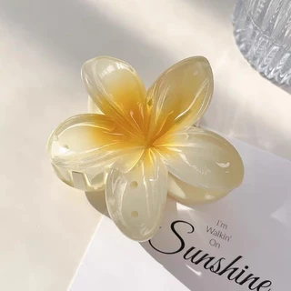 Mini shop🌸พร้อมส่ง🌸เครื่องประดับผม ารักเกาหลีสไตล ์ วันหยุดผู ้ หญิงมัลติฟังก ์ ชั ่ อุปกรณ เสริมผม กิ๊บติดผม (TM-3)