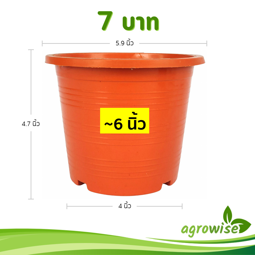 กระถาง กระถางต้นไม้ กระถางพลาสติก เบอร์ 6 นิ้ว สีอิฐ สีส้มอิฐ Bundle 50 ใบ ชิ้น อัน