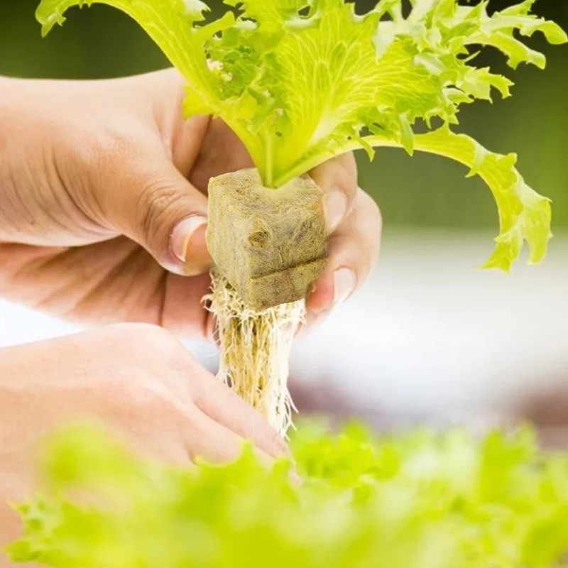 Square Garden Hydroponic Grow Block – Porisy สูง, Absorptioน้ําที่แข็งแกร่ง, ระบายอากาศได้ – อุปกรณ์การเพาะปลูกเนอสเซอรี่ไร้ดิน – ปลั๊กหินปลูกผัก