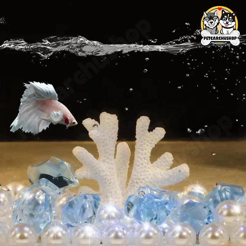 **🐠 ตู้ปลา ตู้ปลาเล็ก ตู้ปลากัด ตู้ปลาขนาดเล็ก โหลปลากัด เหมาะสำหรับสัตว์เลี้ยงขนาดเล็กทุกชนิด 🏠✨** thumbnail 5
