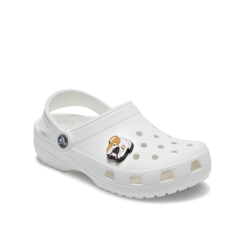CROCS ตัวติดรองเท้า JIBBITZ BULL DOG