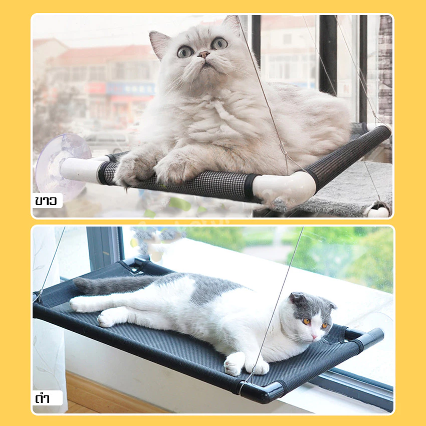 เปลแมวติดกระจก เปลแมวติดผนัง ที่นอนแมว thumbnail 7